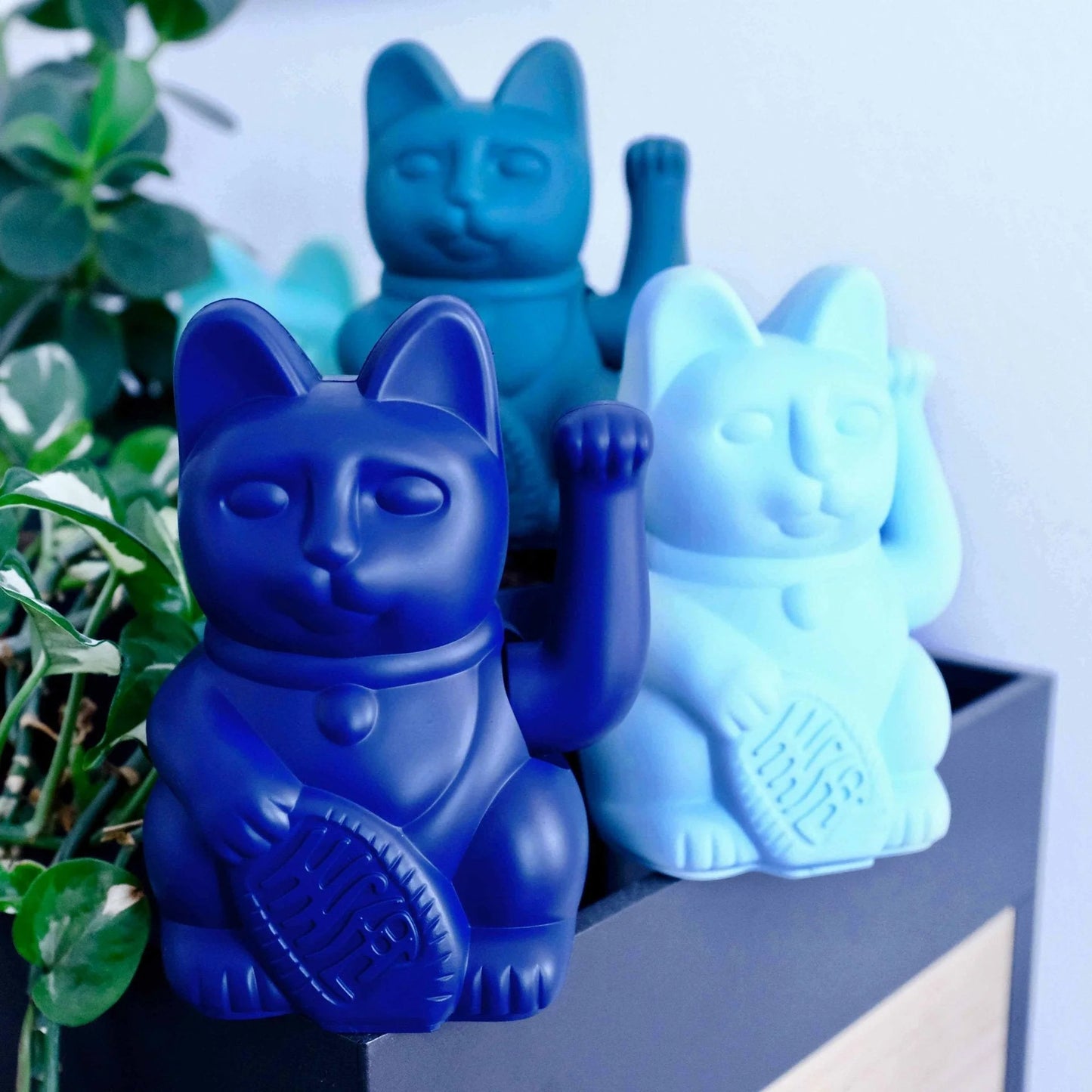 Chat chanceux - Bleu foncé - Donkey