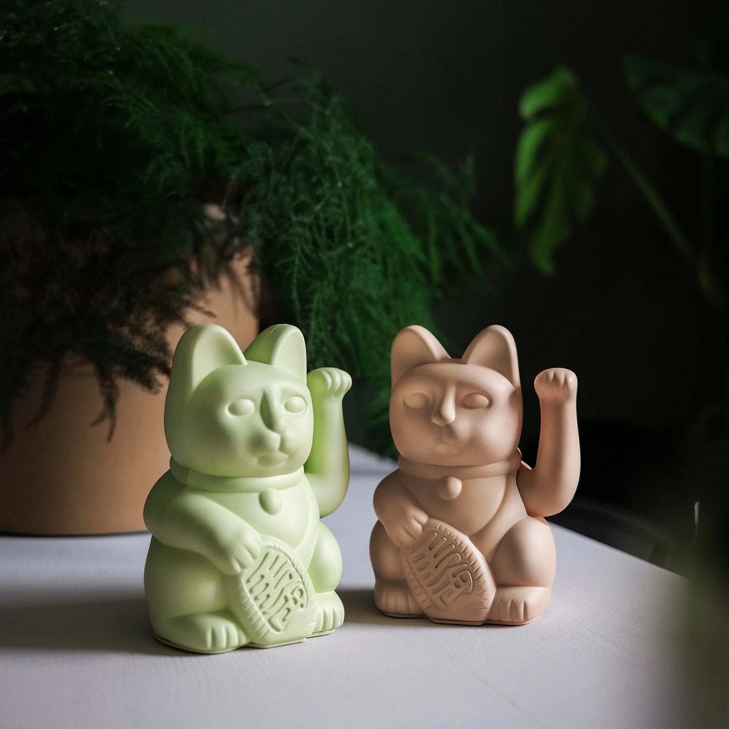 Chat chanceux - Vert clair - Donkey