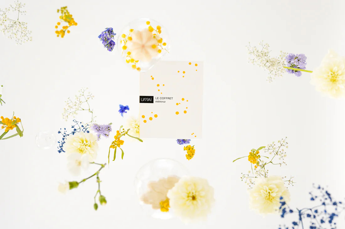 Le coffret mimosa - UMAÏ