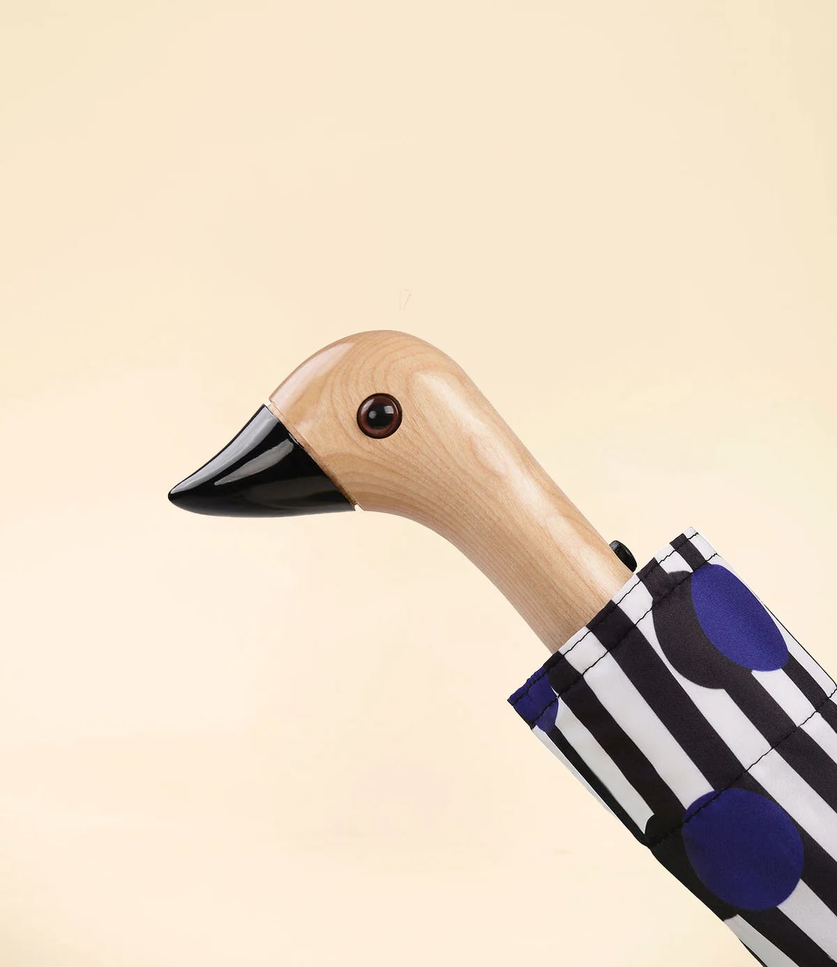 Parapluie à rayures à pois - Duckhead