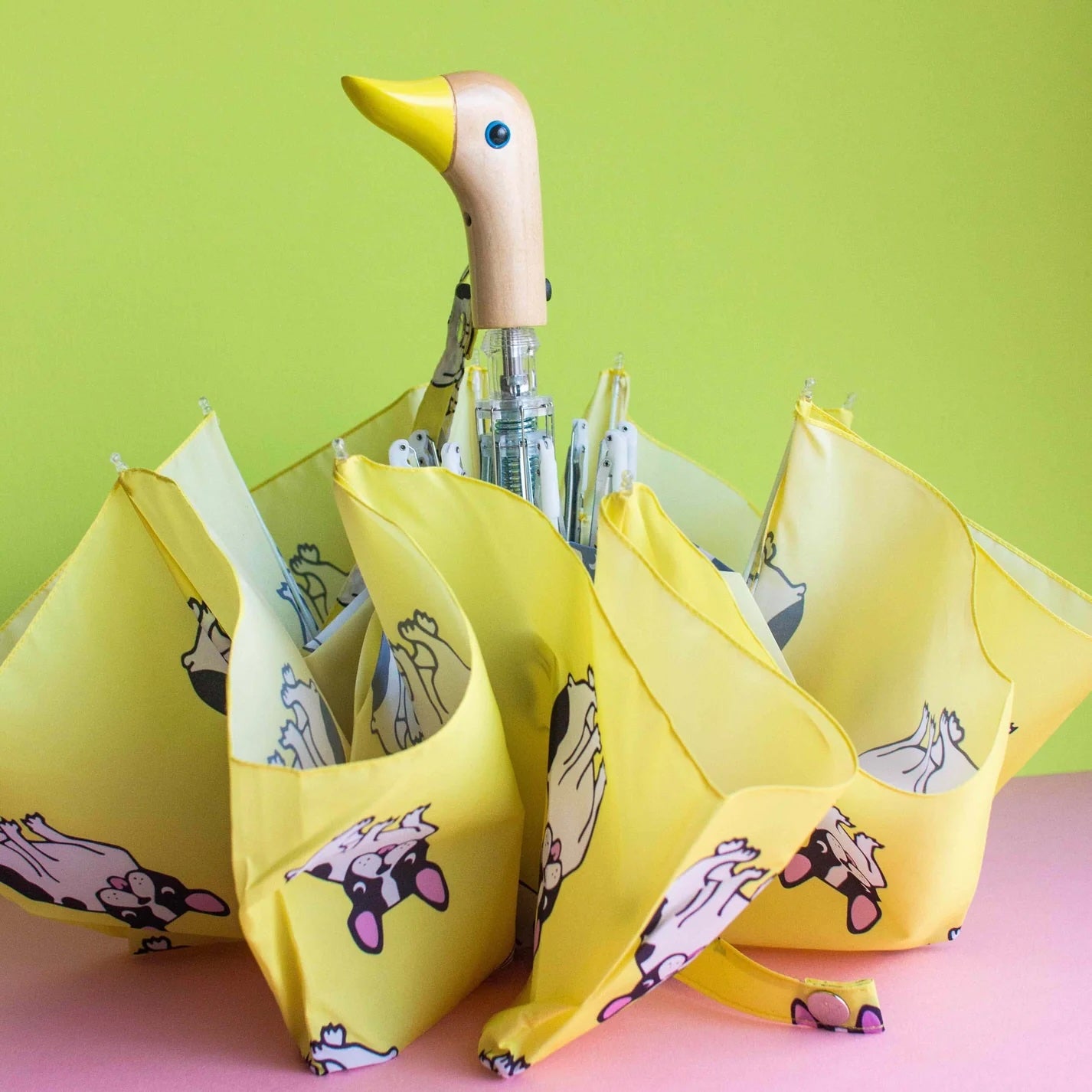 Parapluie Bouledogue - Duckhead x Coucou Suzette