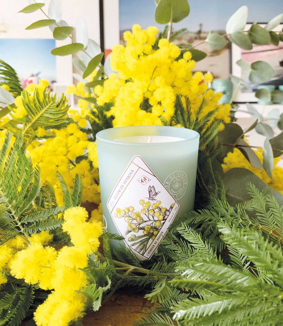 Bougie parfumée fleur de mimosa - Kerzon