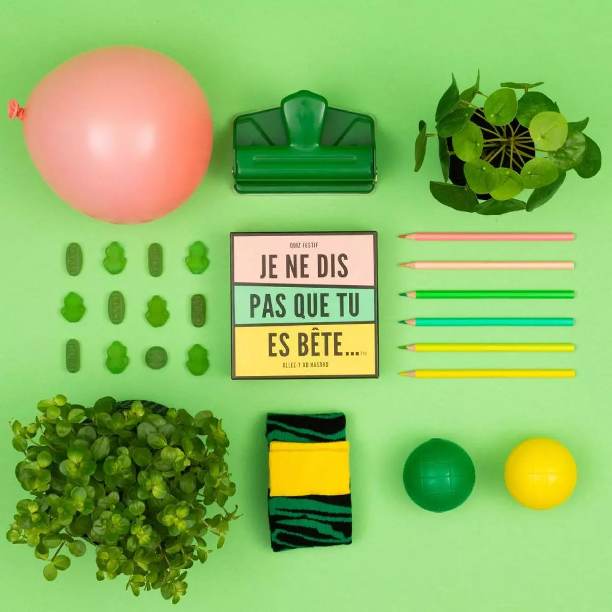 Jeu - Je ne dis pas que tu es bête
