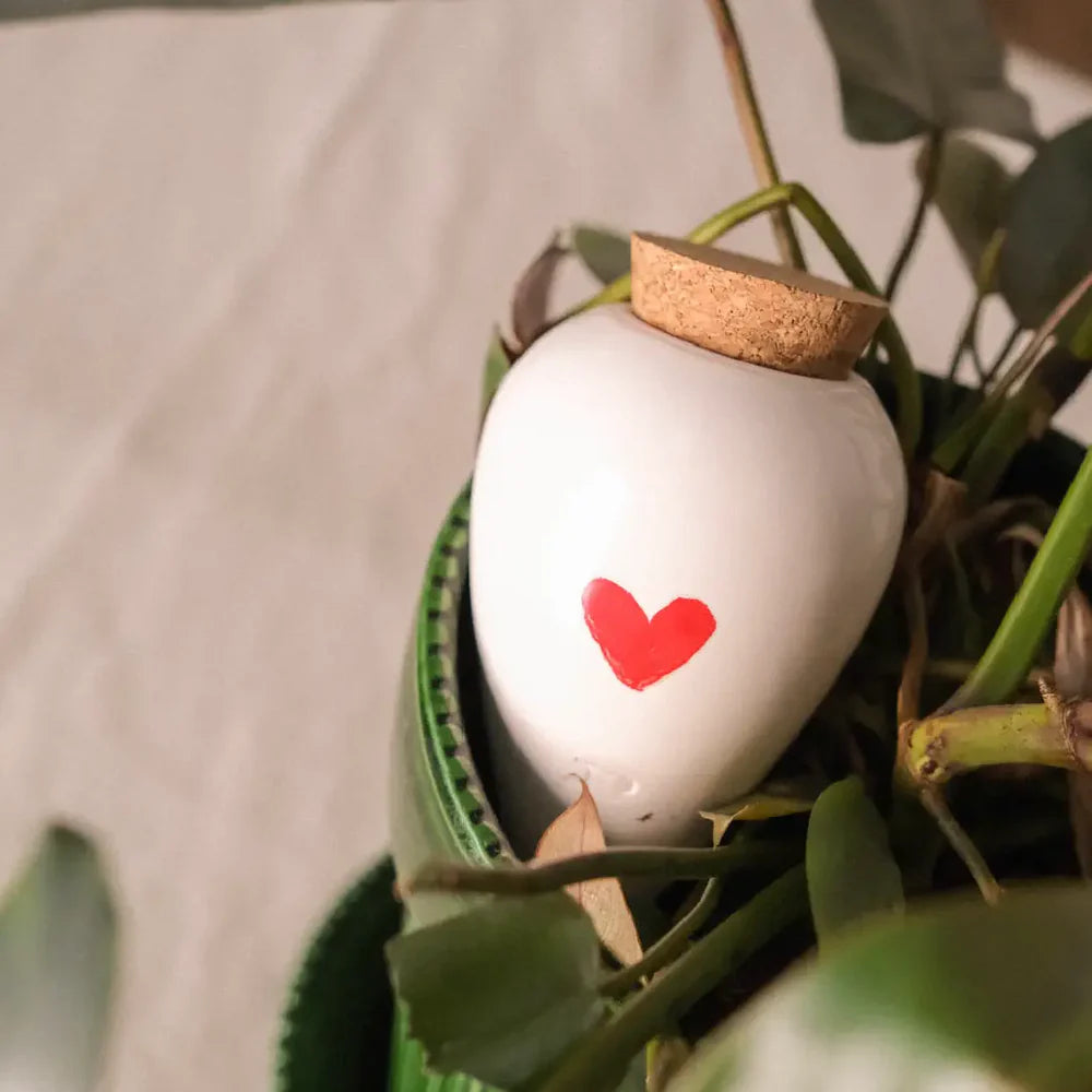 Olla hydratante - Coeur - Pépin