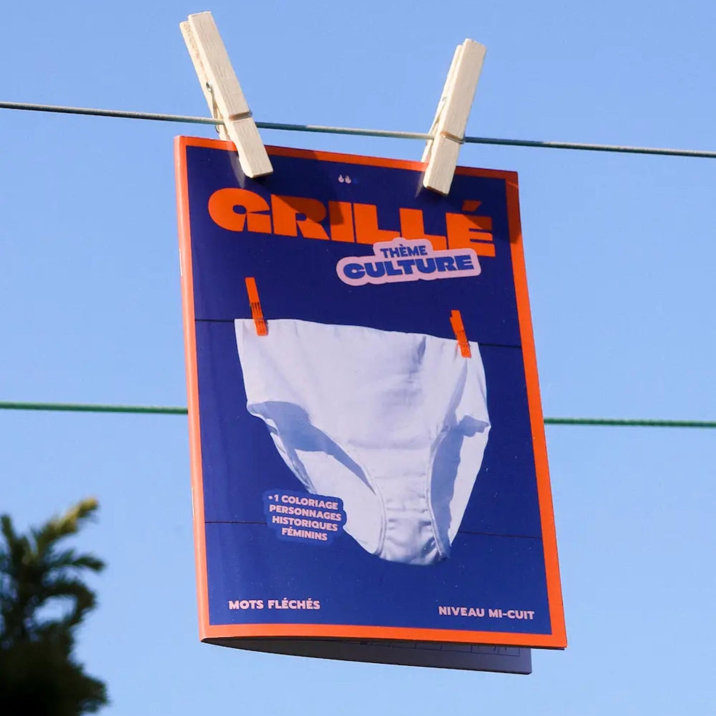 Mots Fléchés - Mi-cuit - Thème culture - Grillé