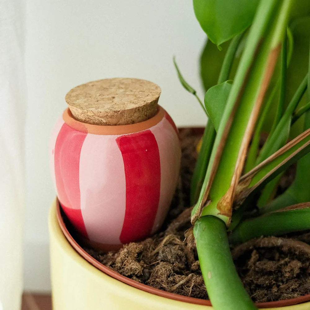 Olla hydratante - Rayé rose et rouge argile blanche - Pepin