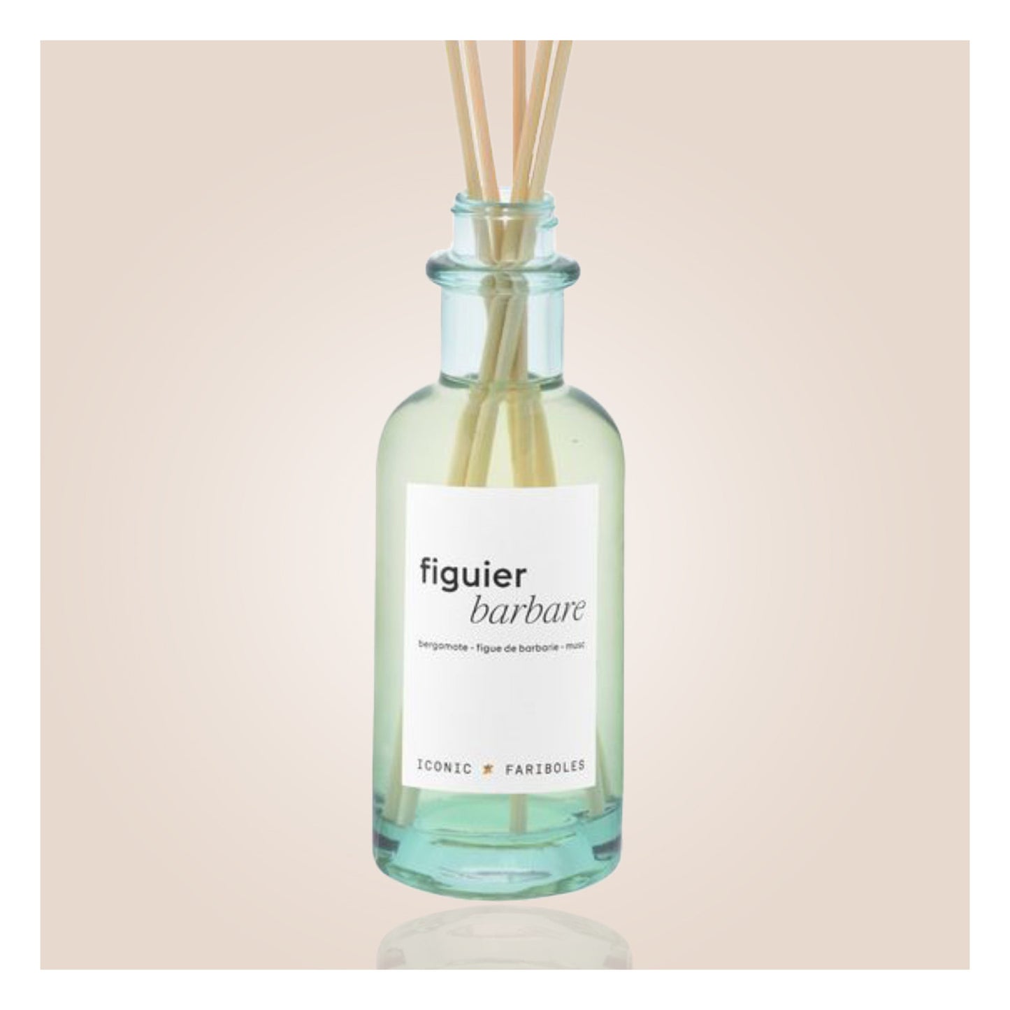 Mikado - Iconic Figuier Barbare - Fariboles