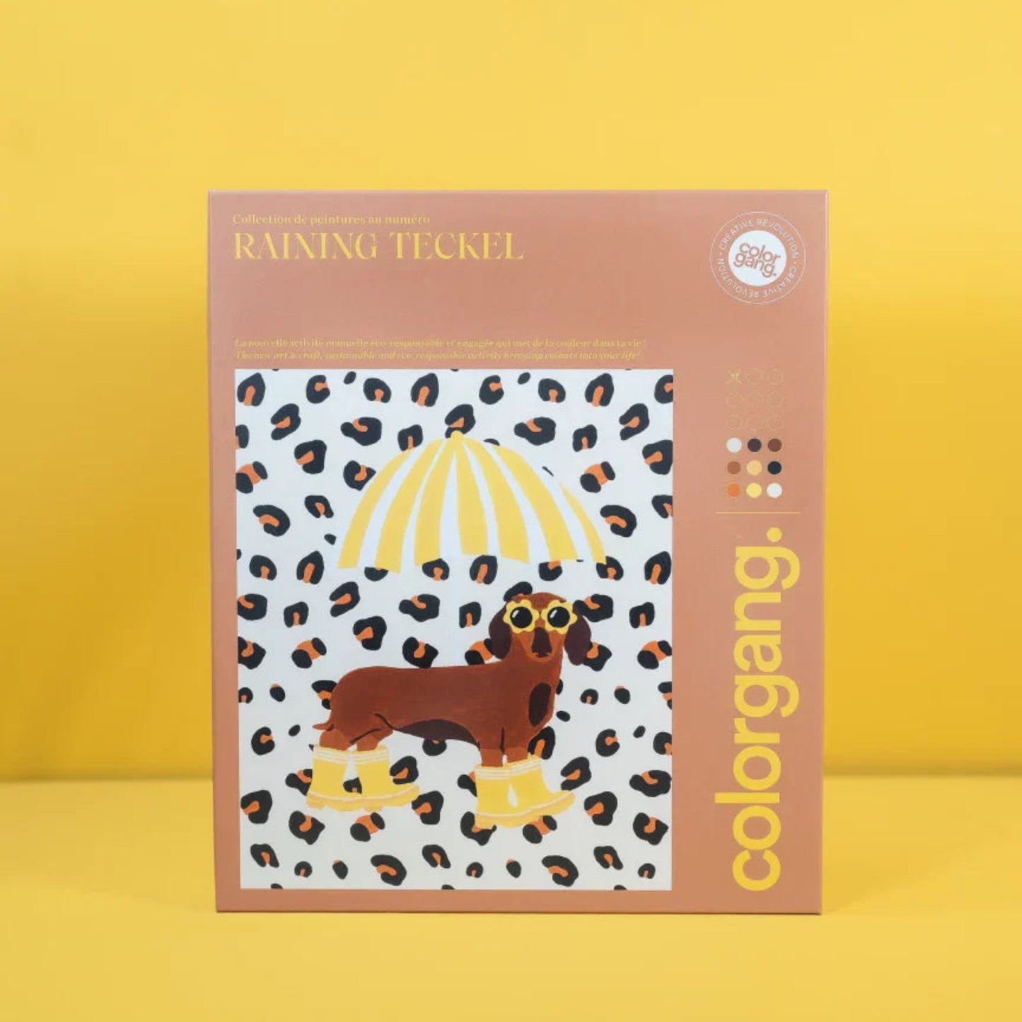 Peinture par numéro - Raining Teckel - Color gang